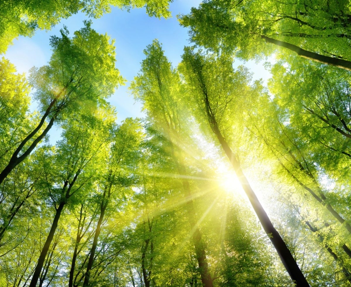 De weg van een display - Holbox De weg van een display - Holbox