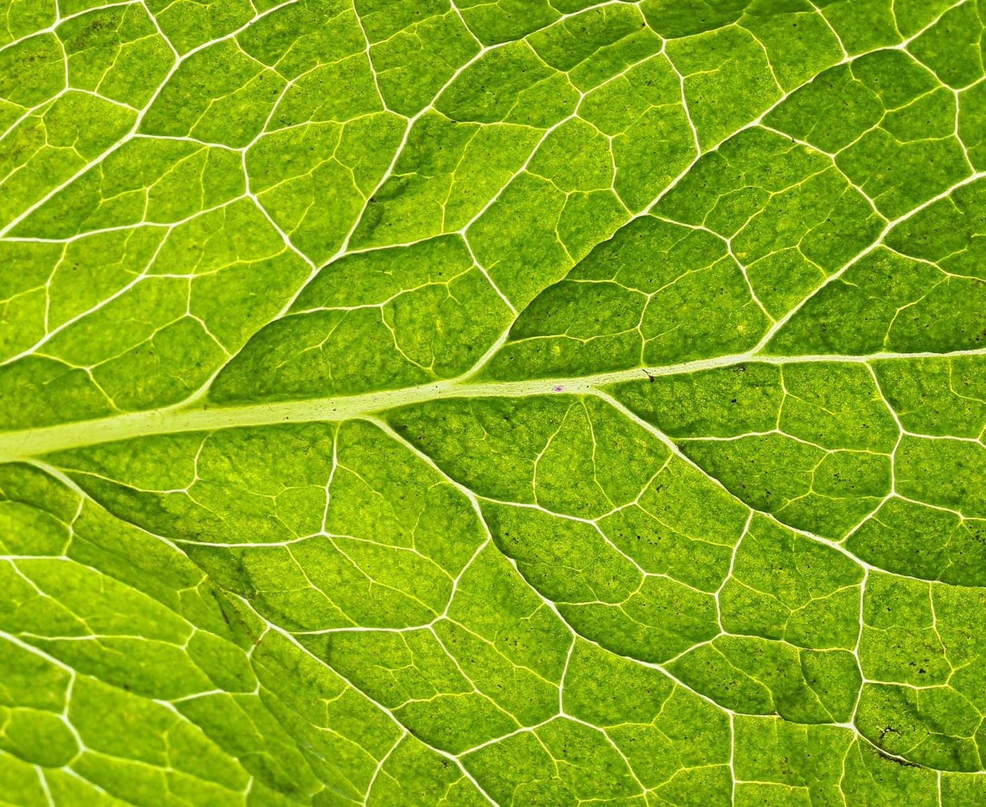ISO14001 certificaat - Holbox ISO14001 certificaat - Holbox