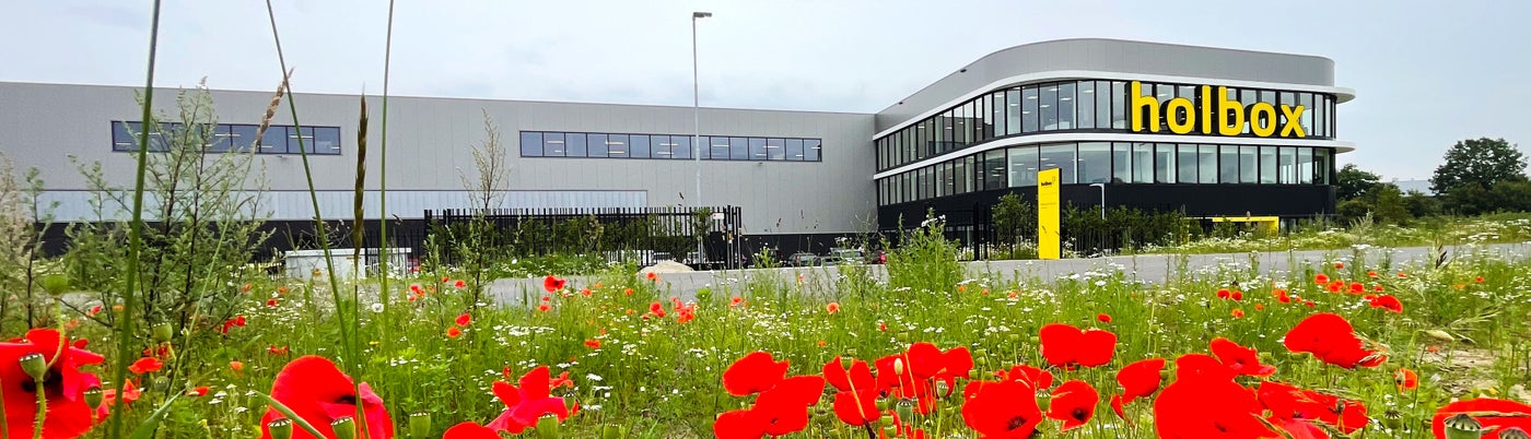 Pand bloemen voor opening Pand bloemen voor opening
