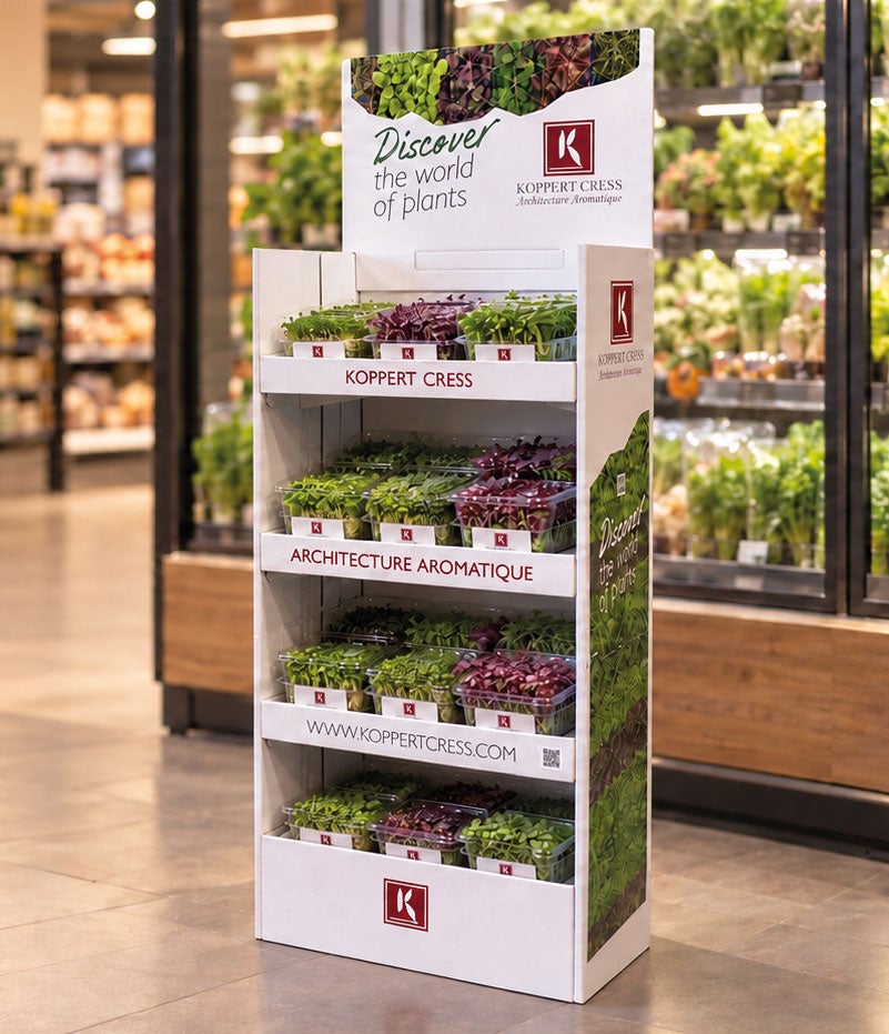 2 Second FOLDABLE SHOP Display 2 Second FOLDABLE SHOP Display