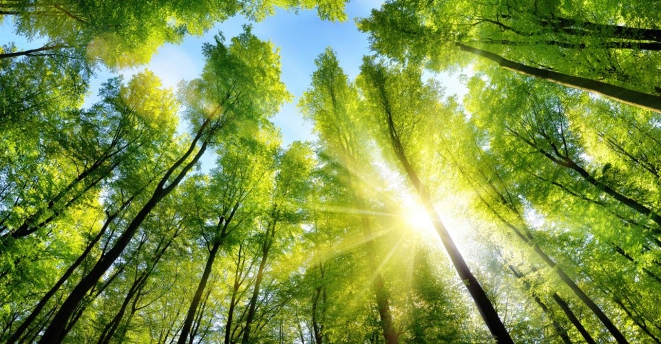 Circulaire displays bij Holbox Circulaire displays bij Holbox