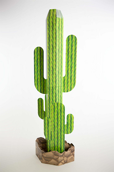 Speciale display cactus