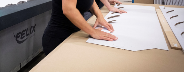 Social Responsibility - Social | Holbox