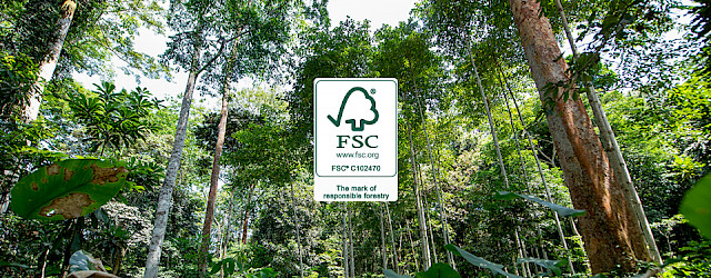 Forest Stewardship Council®