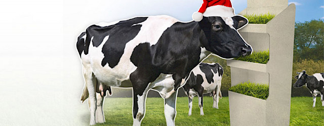 Choose sustainability!